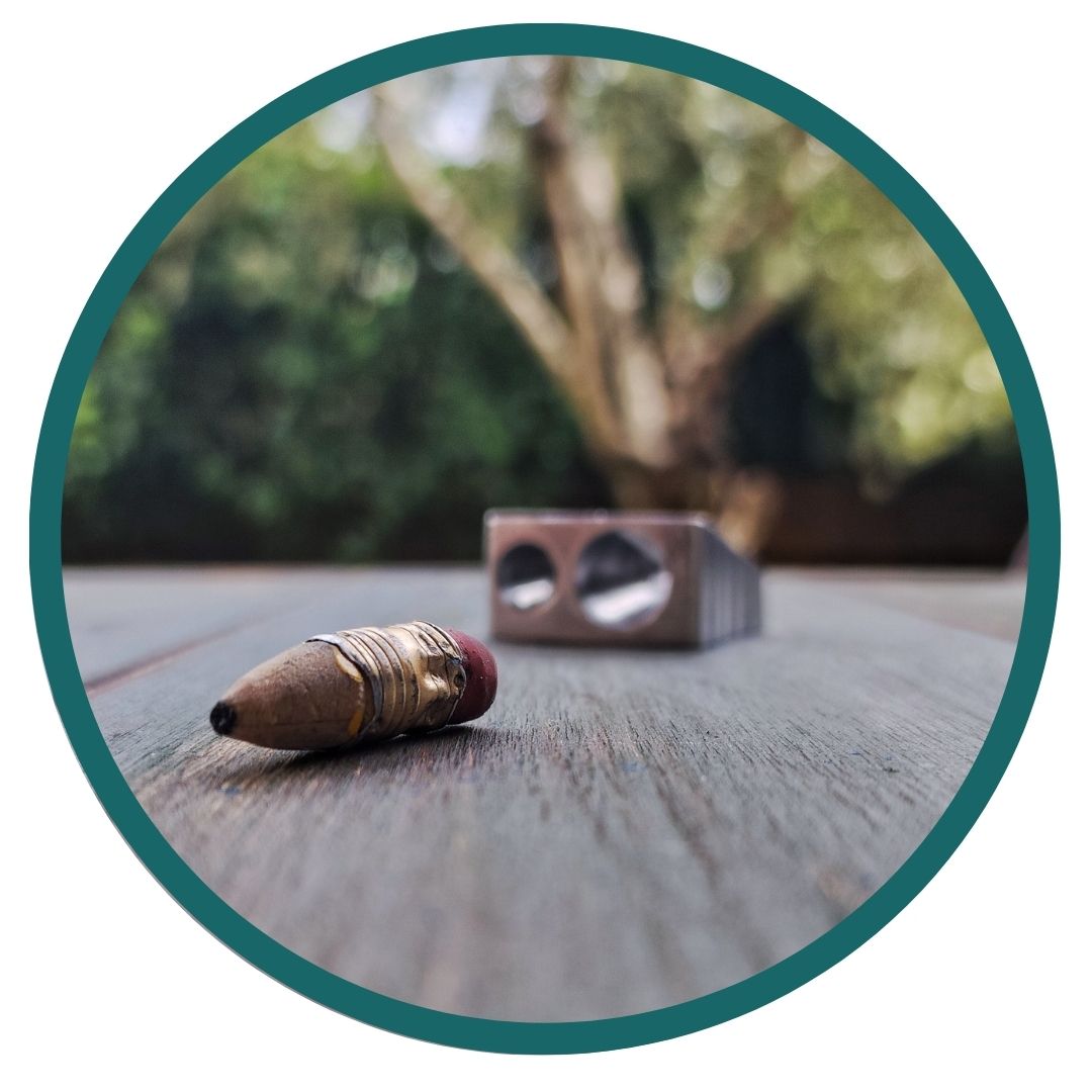 Immagine tonda con cornice verde che riprende la stessa immagine della copertina. Su un tavolo c'è un temperino in secondo piano, in primo piano una matita consumata dalla soddisfazione di scrivere; alberi sullo sfondo.