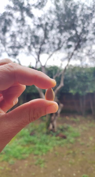 Il nome, l’inizio della storia