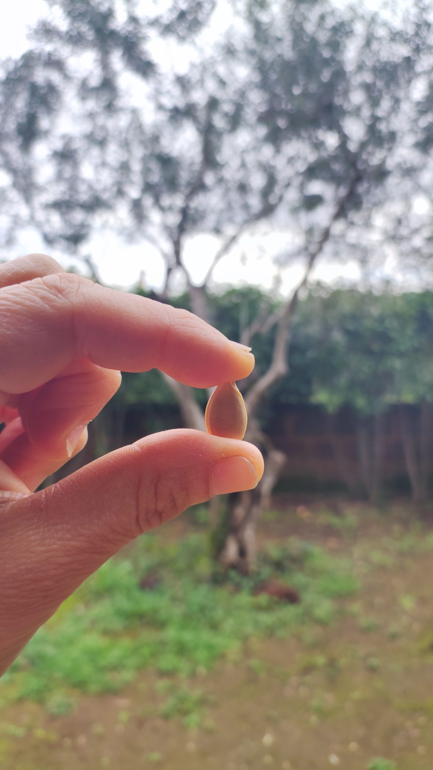 Il nome, l’inizio della storia