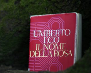 Copertina dell'articolo sull'inganno della scrittura. Libro Il nome della rosa di Umberto Eco posizionato tra le radici di un albero in un bosco.