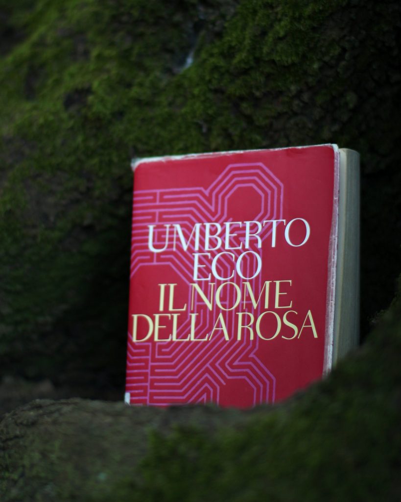 Copertina dell'articolo sull'inganno della scrittura. Libro Il nome della rosa di Umberto Eco posizionato tra le radici di un albero in un bosco.