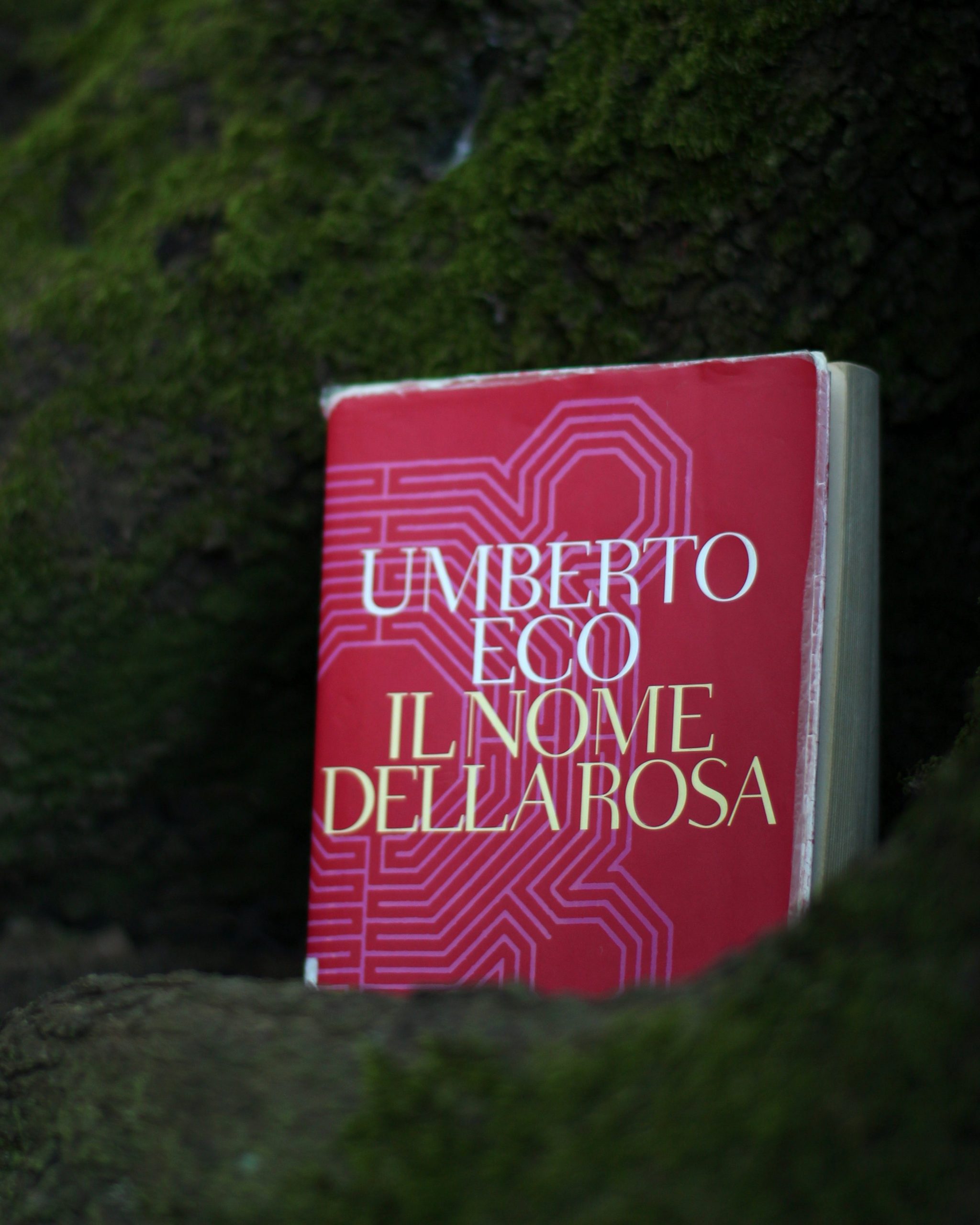 L’inganno delle parole