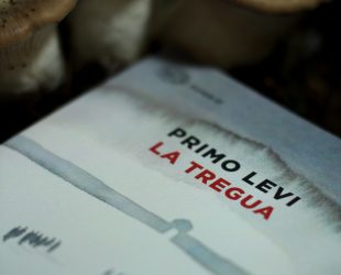 Copertina del libro La tregua di Rpimo Levi, in mezzo ad alcuni funghi; libro usato per parlare dei pericoli della scrittura.