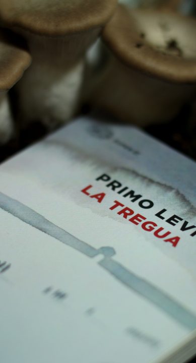 I pericoli della scrittura