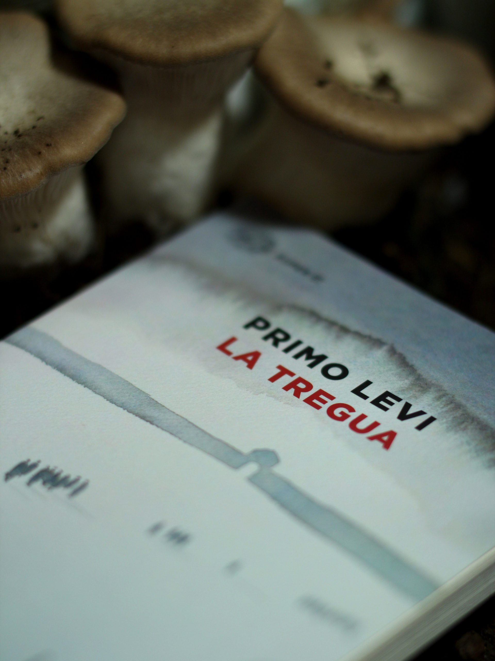 I pericoli della scrittura
